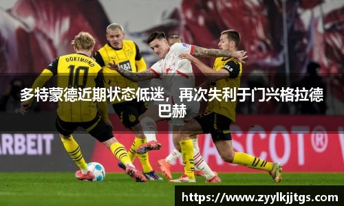 yy体育