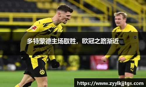 yy体育