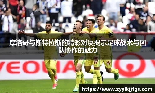 yy体育