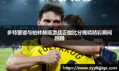 yy体育