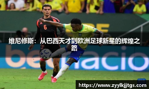 yy体育