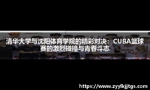 yy体育